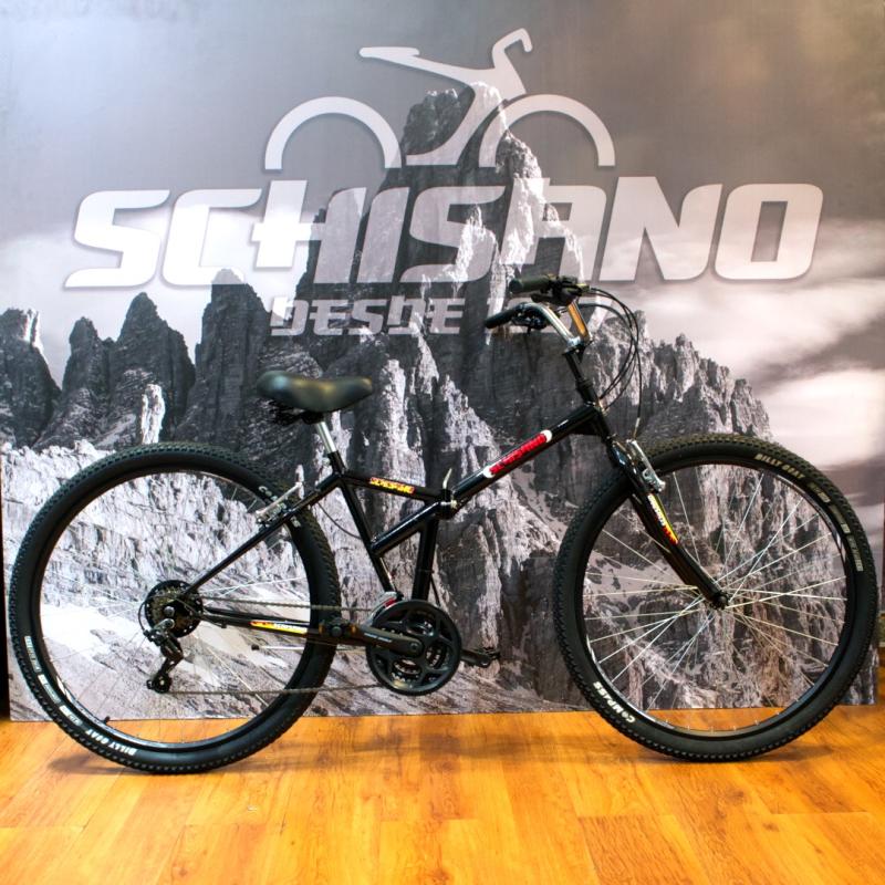 SCHISNO PLEGABLE R 29