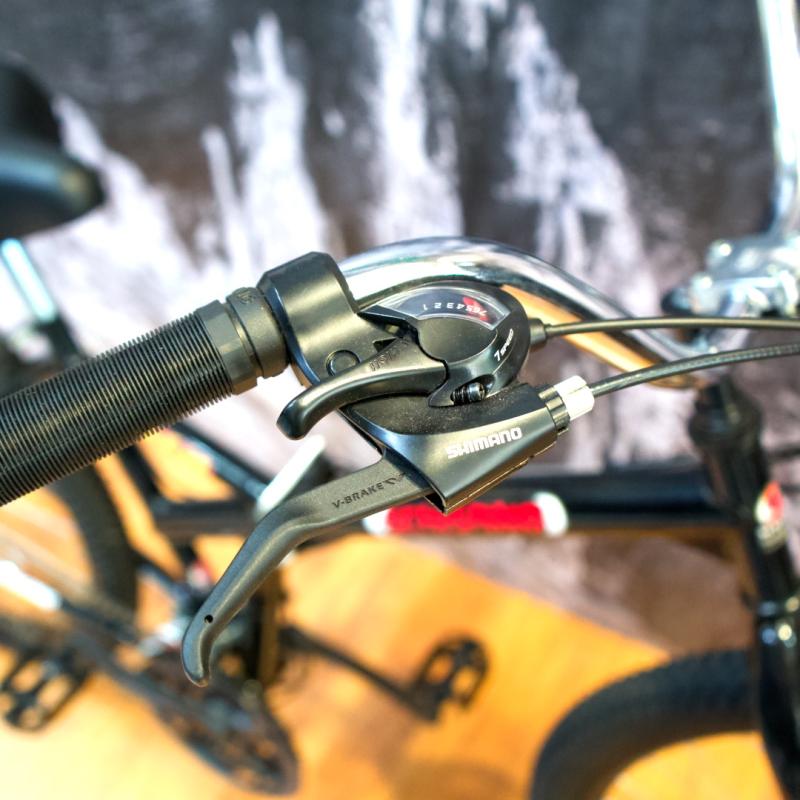 SCHISNO PLEGABLE R 29