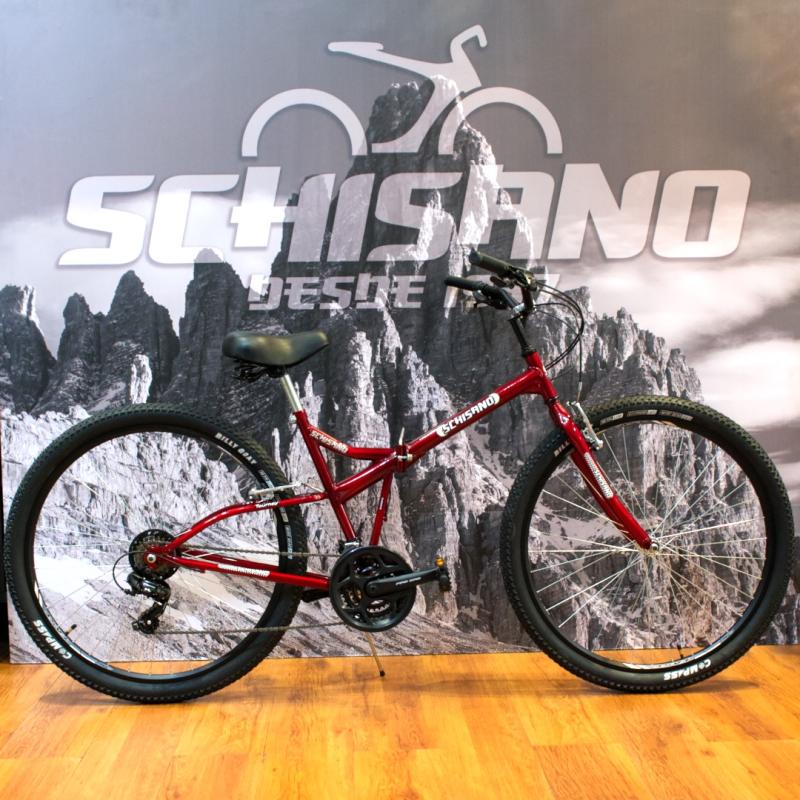 SCHISNO PLEGABLE R 29