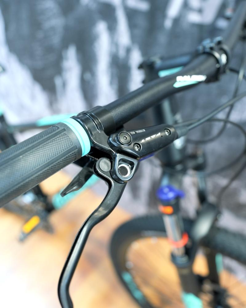 RALEIGH MOJAVE 2.0 R 29