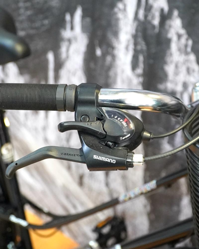 SCHISANO PASEO R. 26