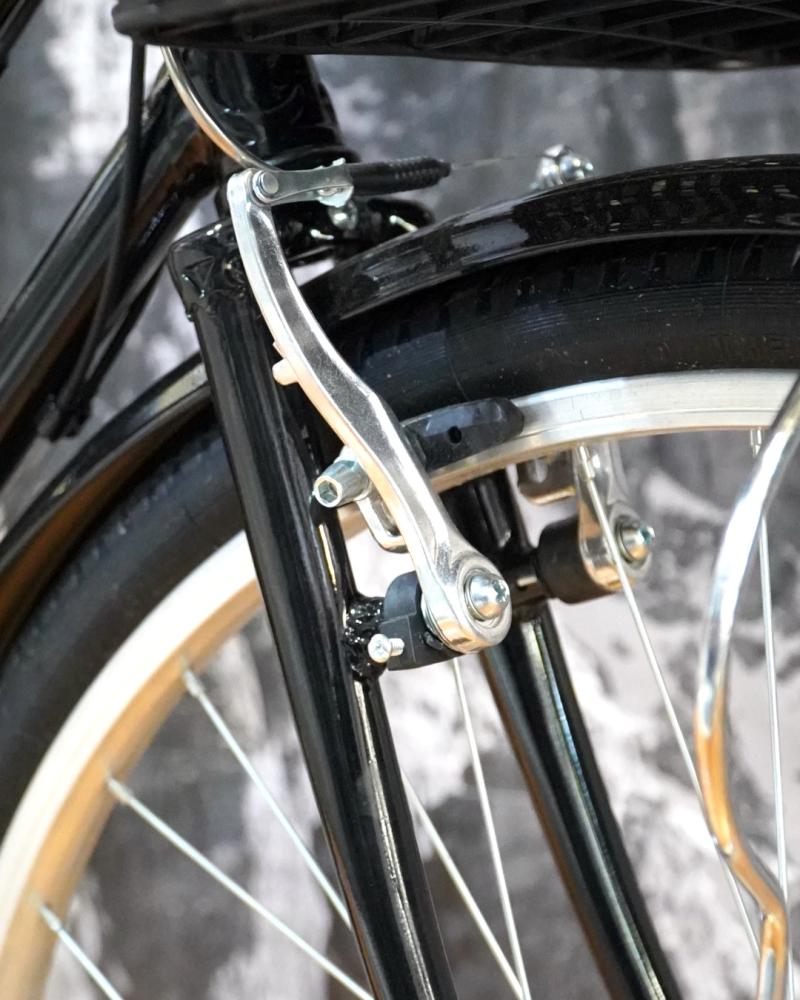 SCHISANO PASEO R. 26