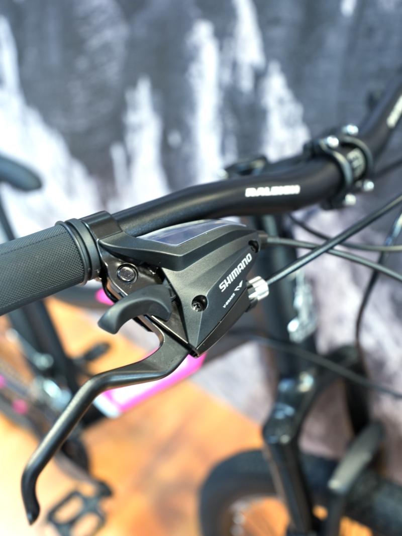 RALEIGH SCOUT R 24