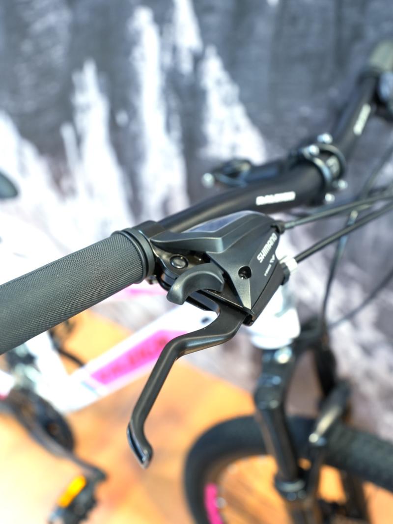 RALEIGH SCOUT R 24