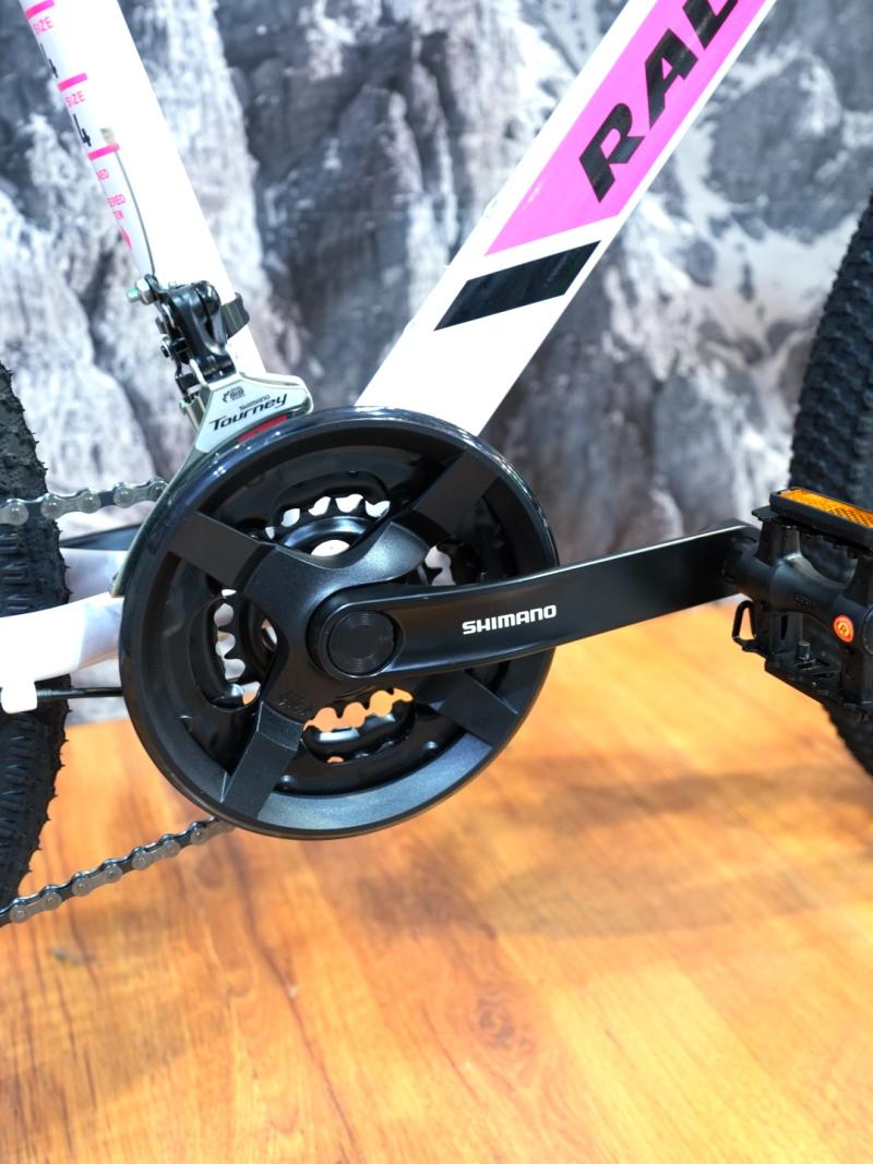 RALEIGH SCOUT R 24