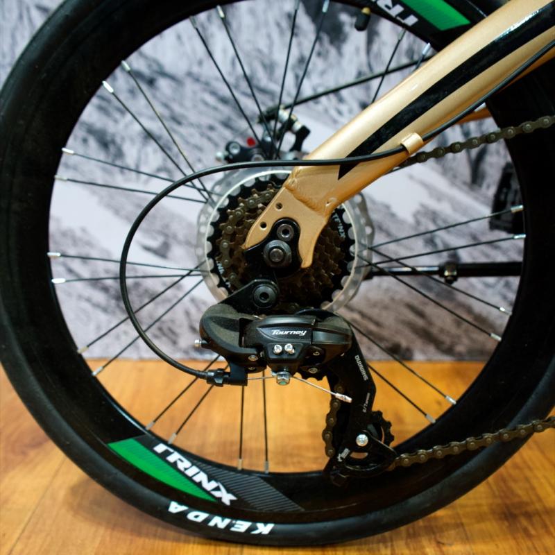 TRINX DOLPHIN R 20 PLEGABLE