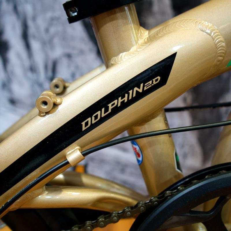 TRINX DOLPHIN R 20 PLEGABLE