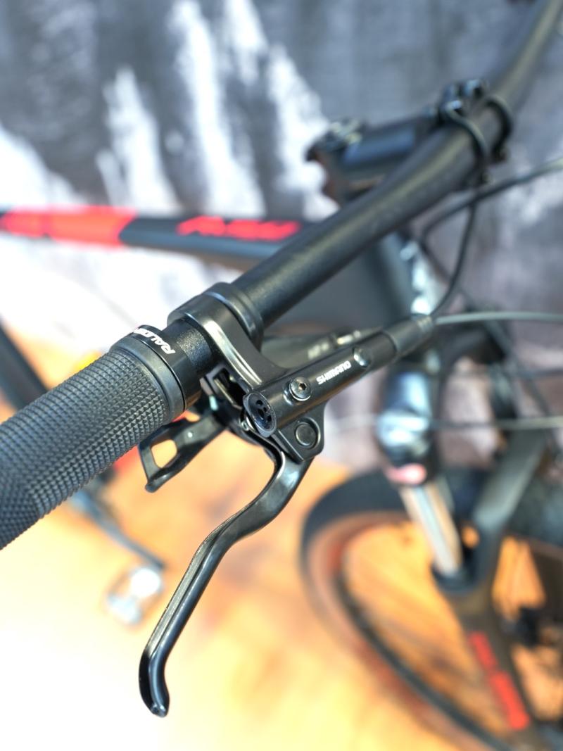 RALEIGH 5.0 R 29