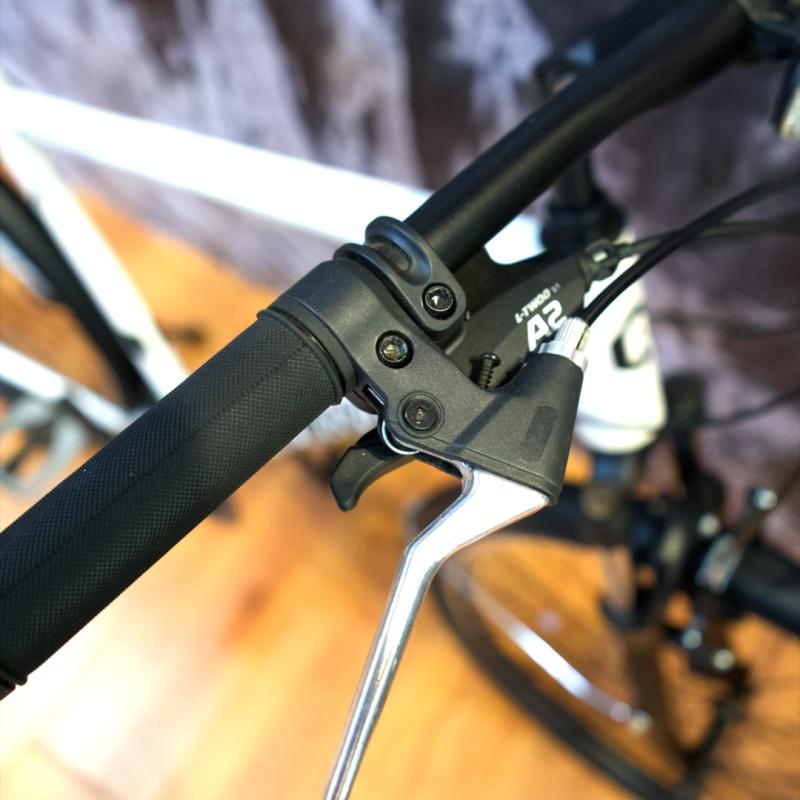 REMBRANDT VISTA 2.0 R. 28