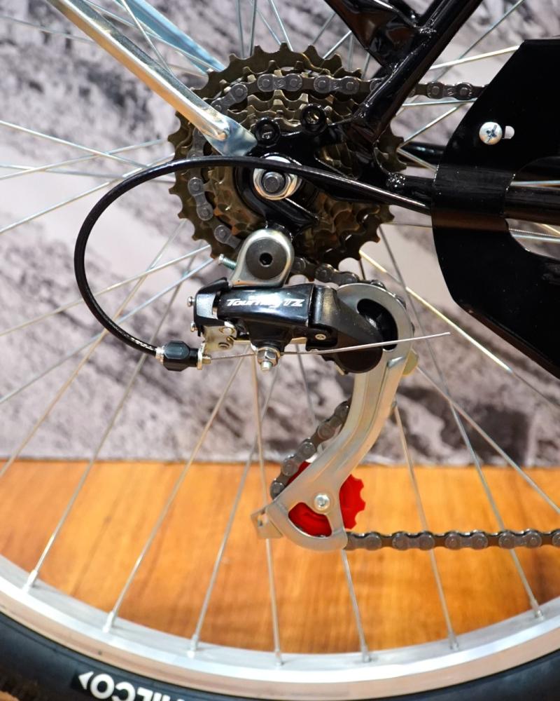 SCHISANO R. 26 CON 6 VELOCIDADES