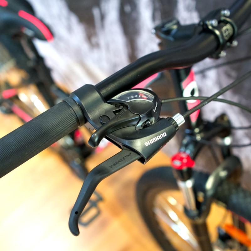 OLMO FLASH 295  DAMA R 29