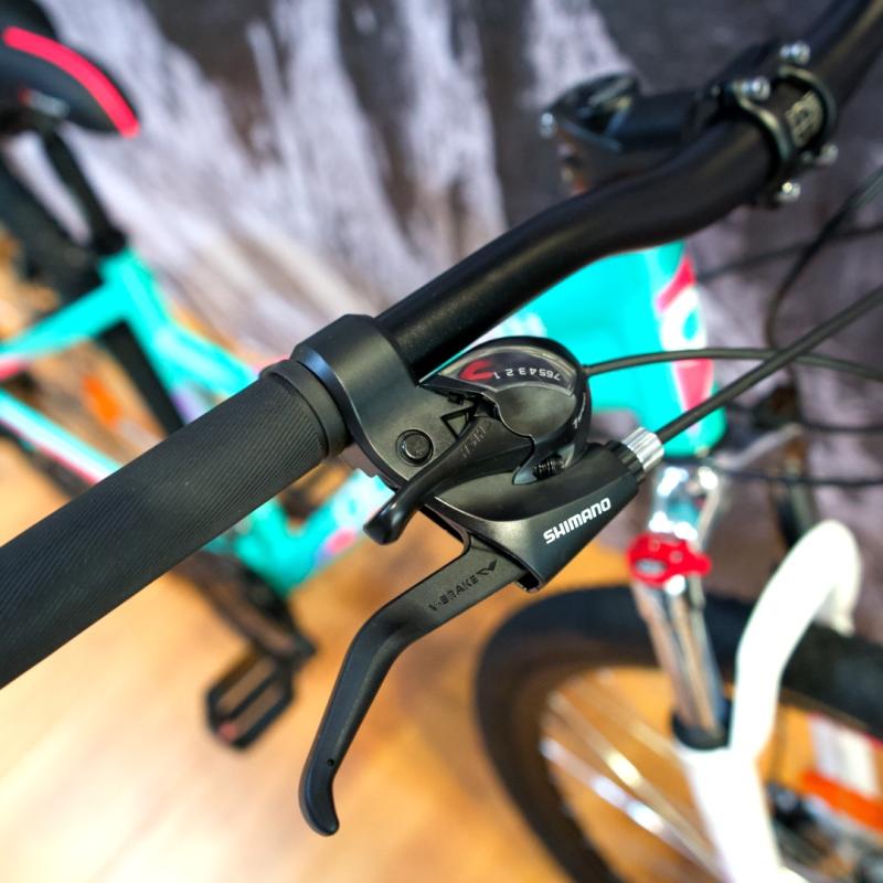 OLMO FLASH 295  DAMA R 29