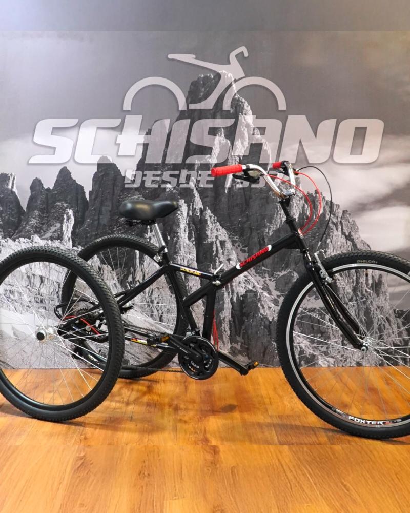 SCHISANO TRICICLO PLEGABLE R. 29
