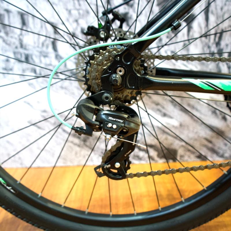 VENZO FRIDA BELLE R 29