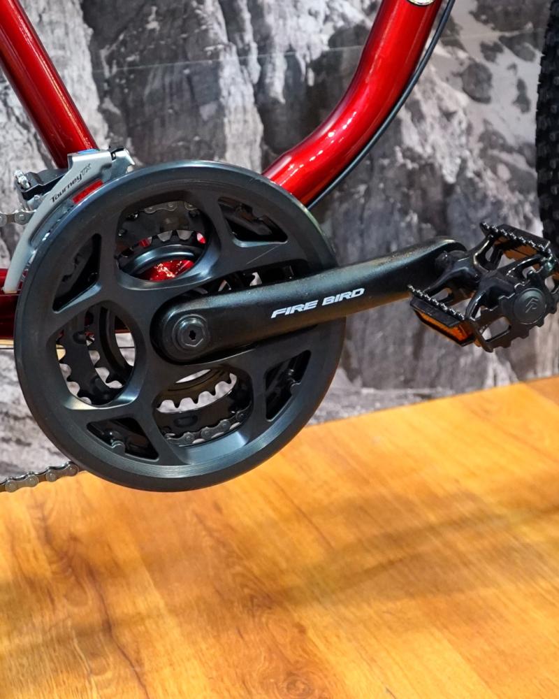 SCHISANO PLAYERA R.29 24 VEL.