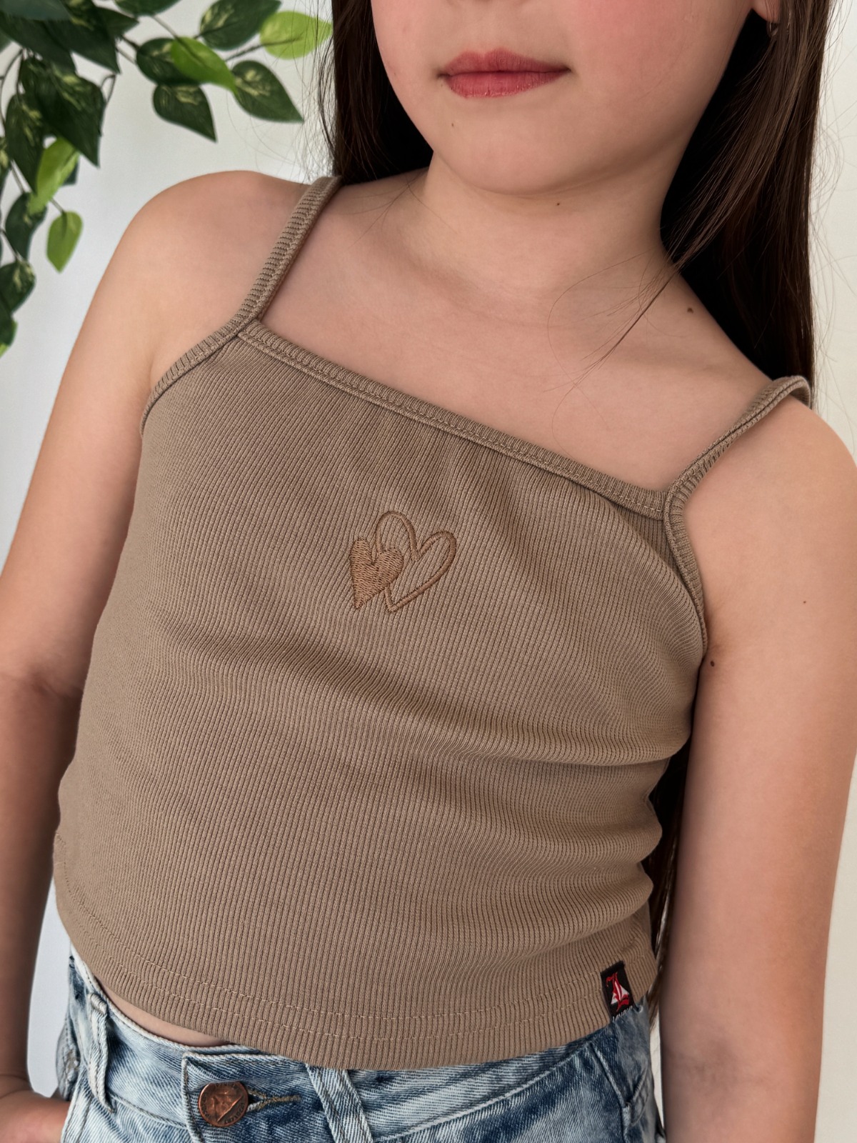 MUSCULOSA HEART
