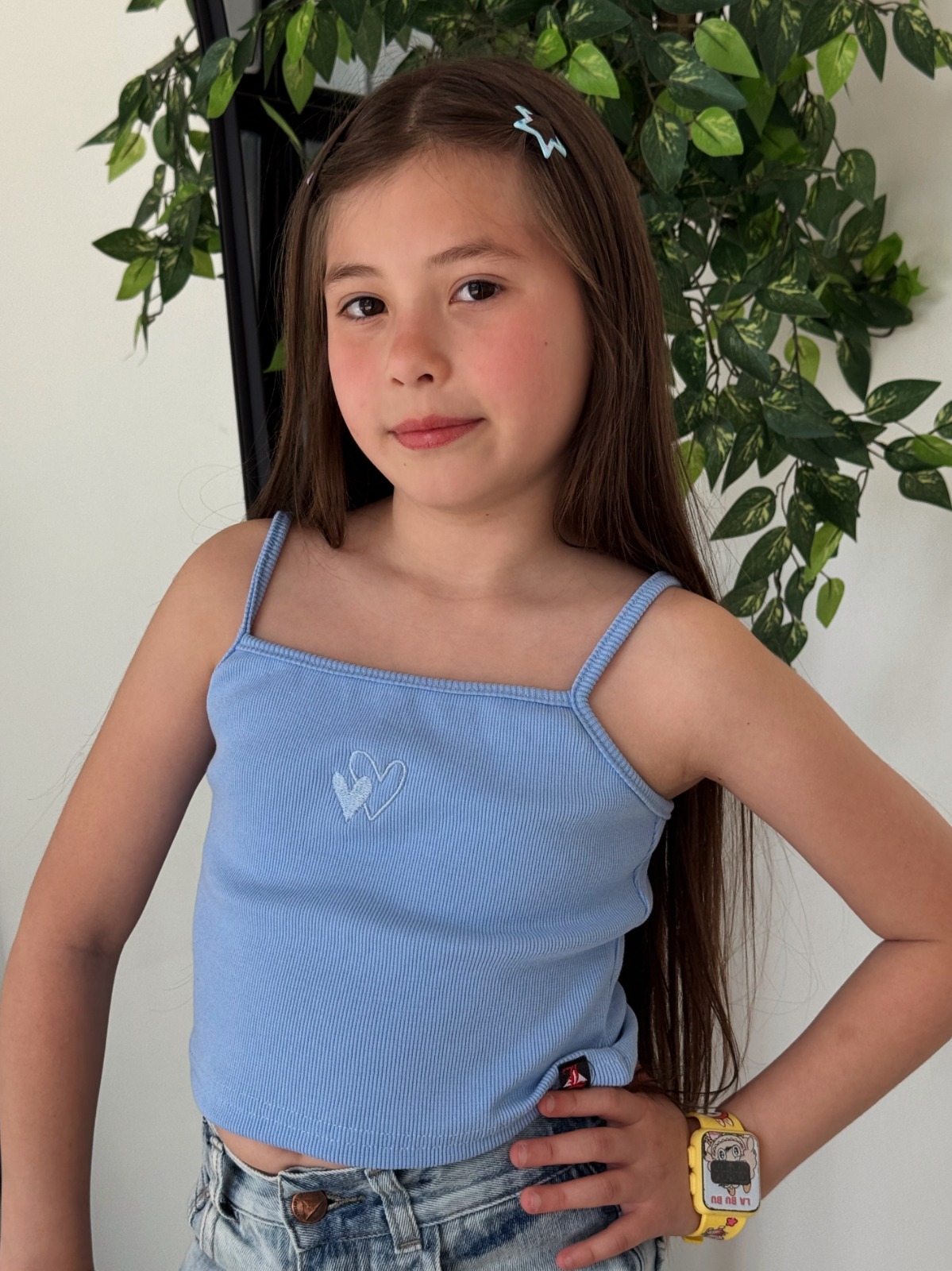 MUSCULOSA HEART