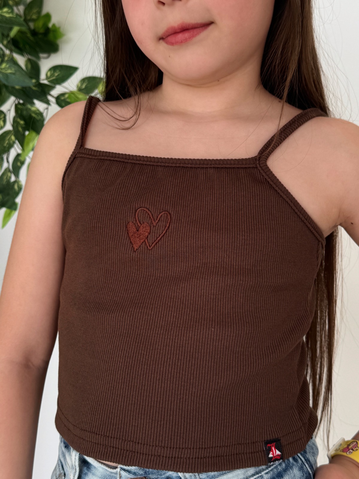 MUSCULOSA HEART