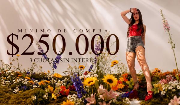 Banner Carrousel