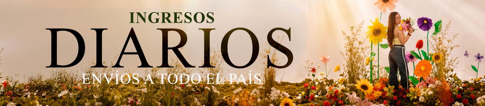 Banner Carrousel