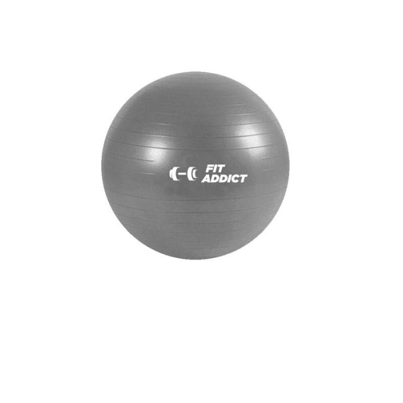 PELOTA ESFERODINAMIA 65 CM REFORZADA