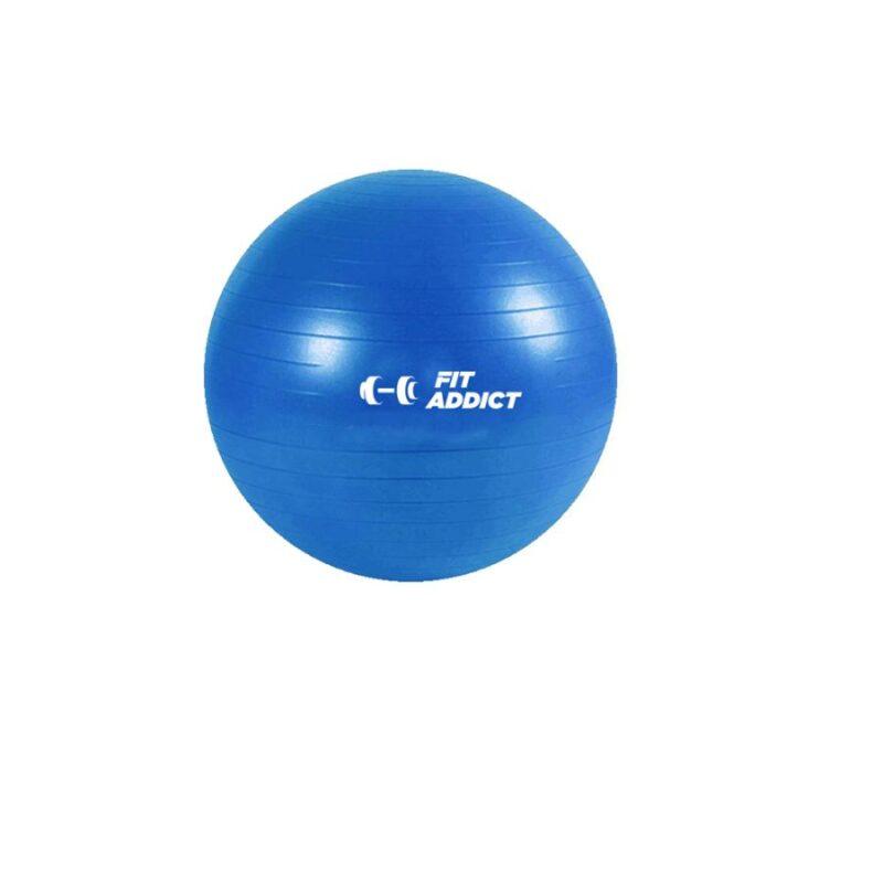 PELOTA ESFERODINAMIA 65 CM REFORZADA