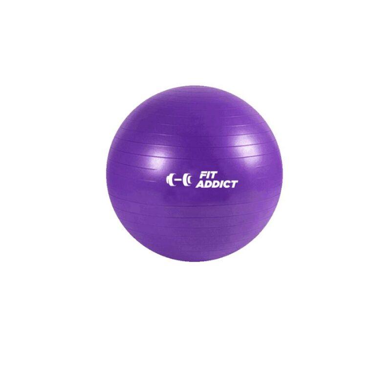 PELOTA ESFERODINAMIA 65 CM REFORZADA
