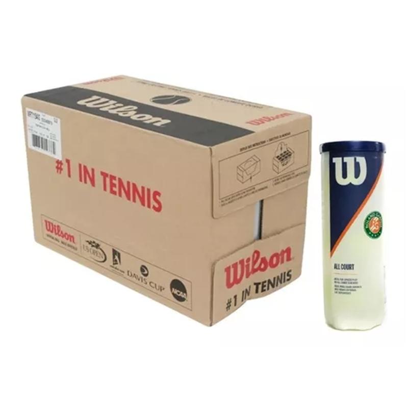 CAJA PELOTAS X 24 WILSON ALL COURT ROLAND GARROS