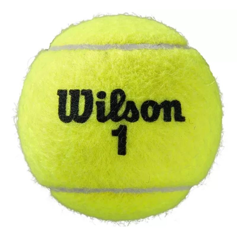CAJA PELOTAS X 24 WILSON ALL COURT ROLAND GARROS