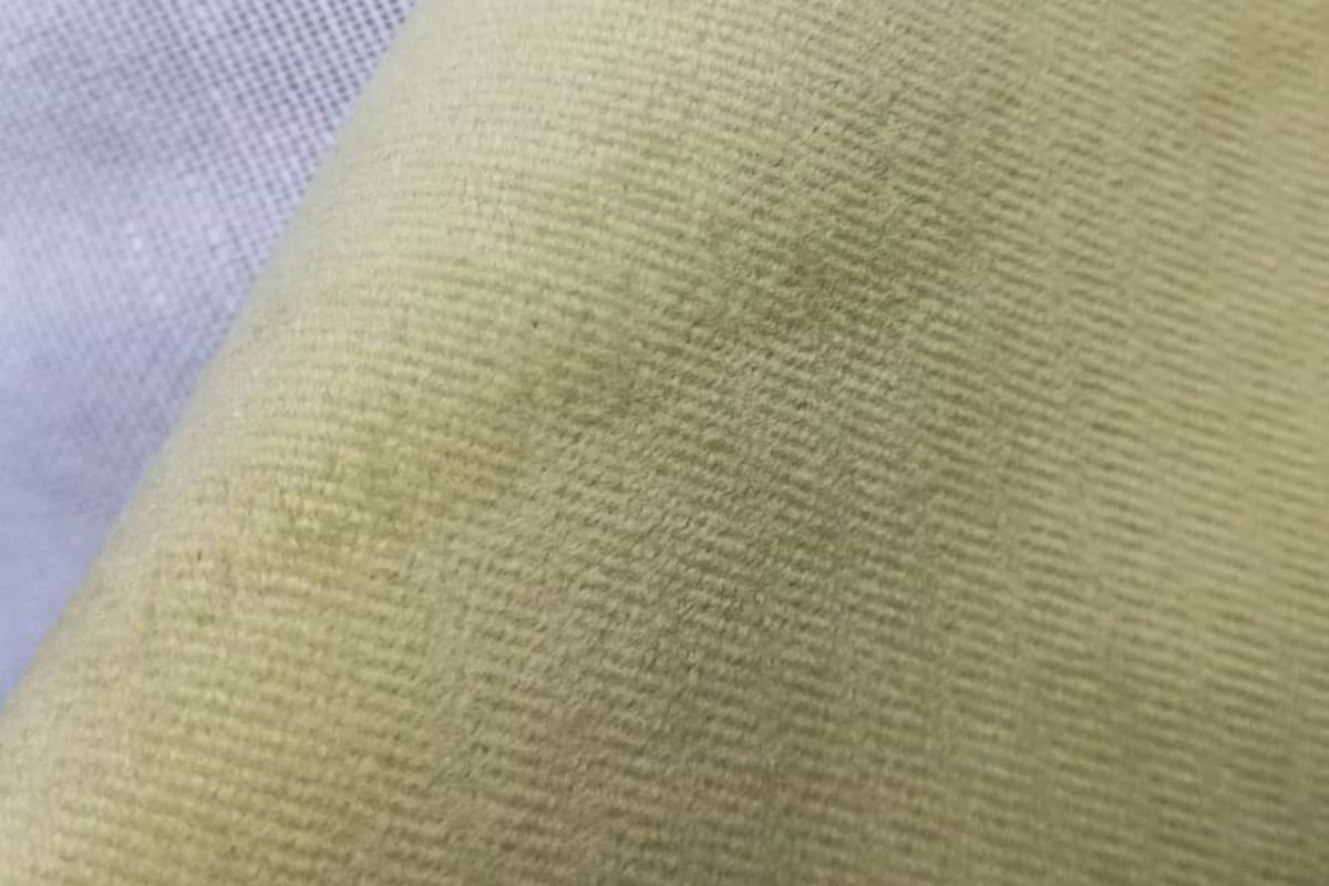 Pana Jaguar Verde Oliva