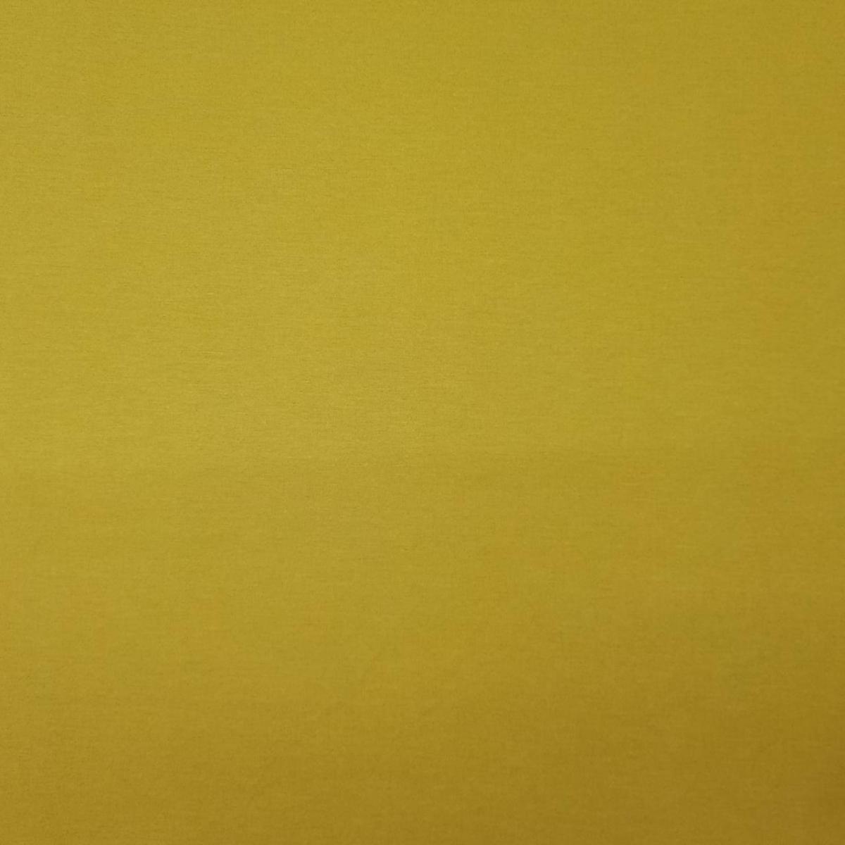 Exterior Acquablock Mostaza