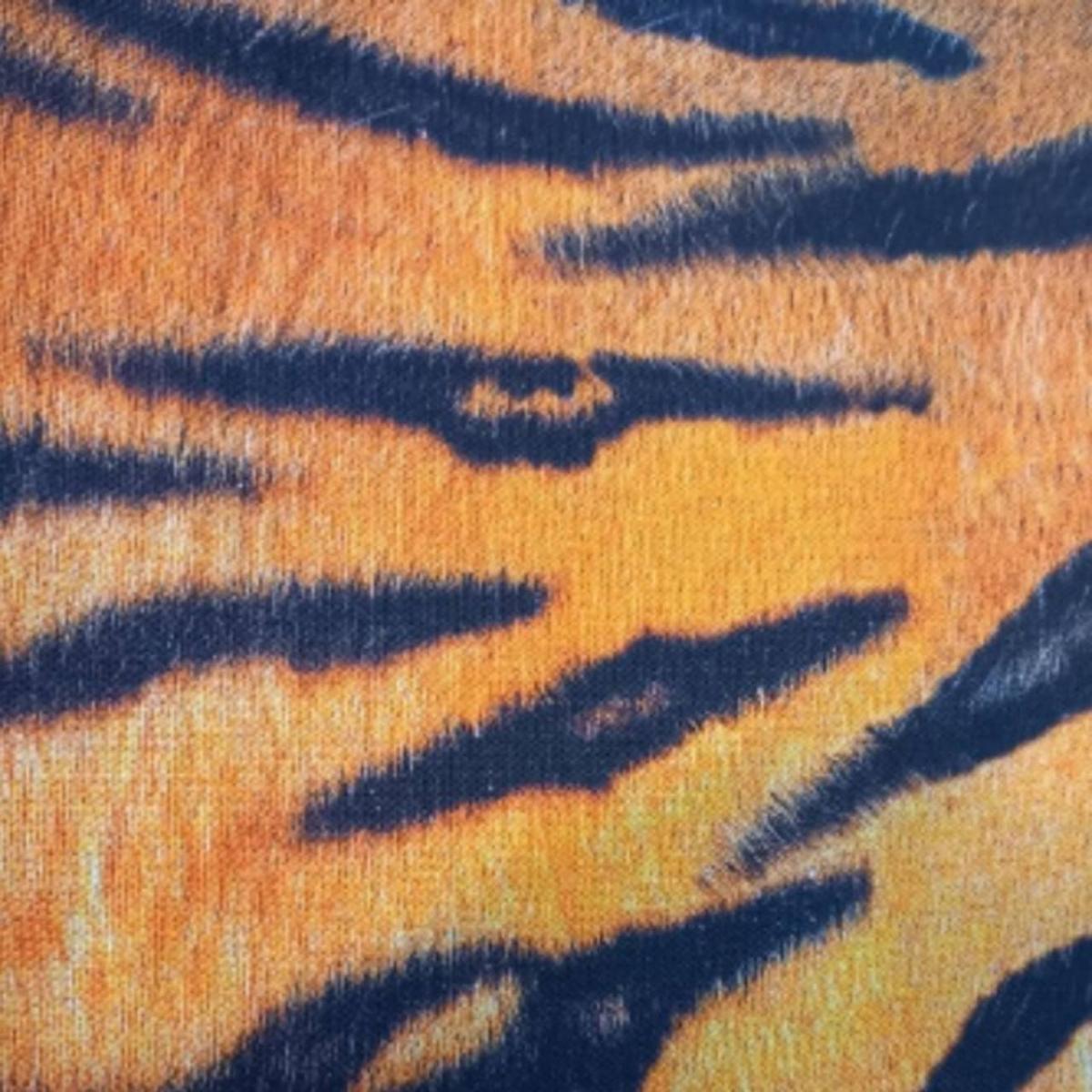 Panamá Digital Tigre