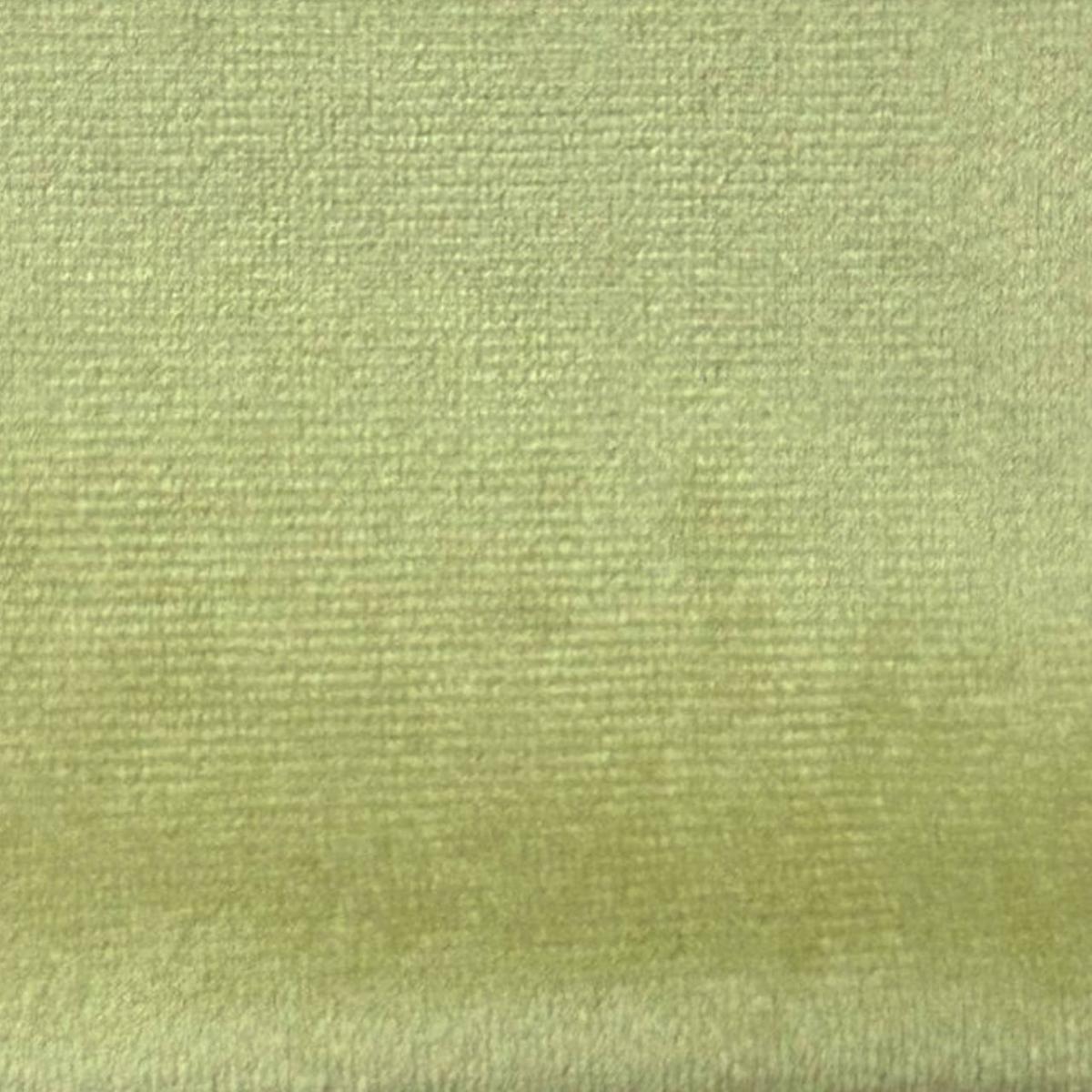 Pana Jaguar New Olive