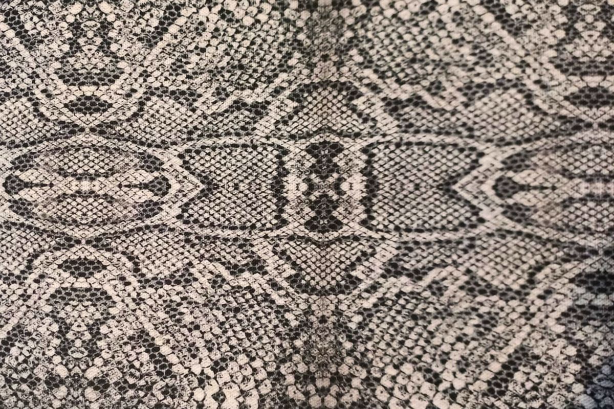 Panamá Digital Piel Serpiente