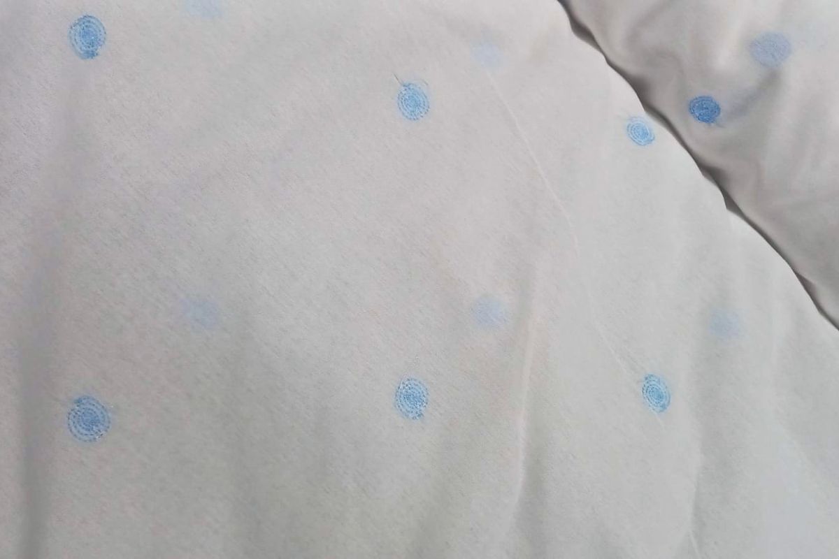 Voile Bordado Espiral Blanco Celeste