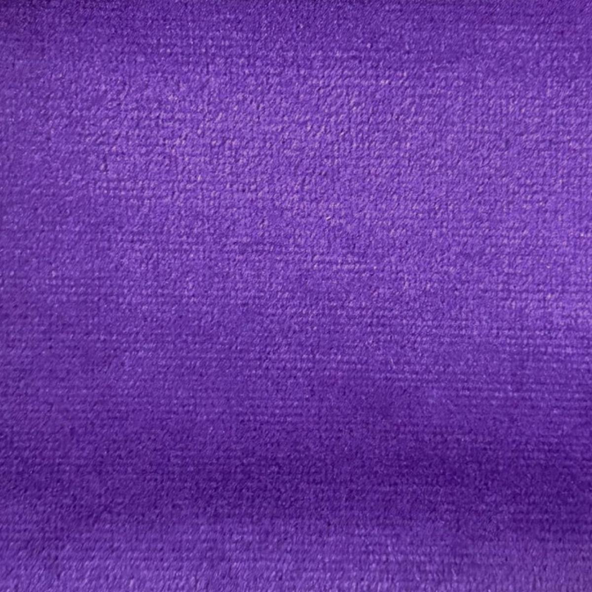 Pana Jaguar Violeta