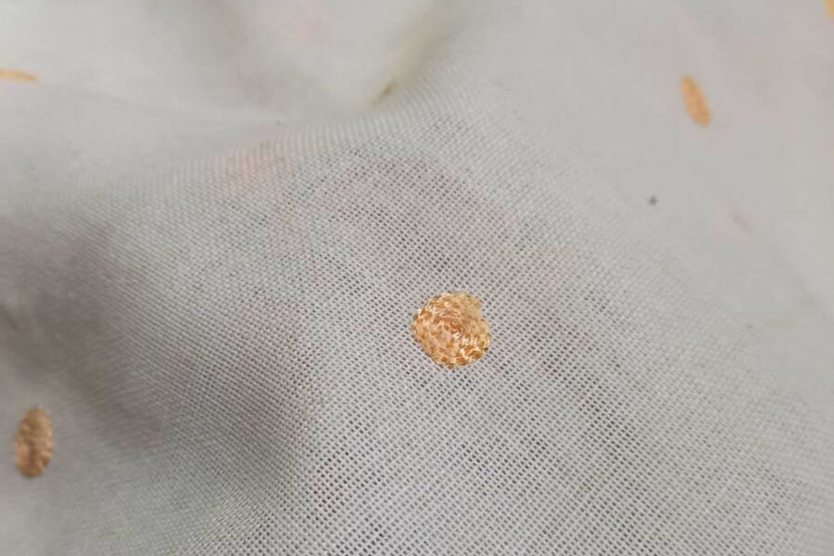 Voile Bordado Mota Natural Beige