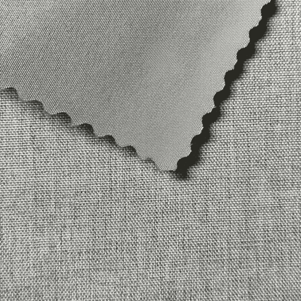Verona Ivory