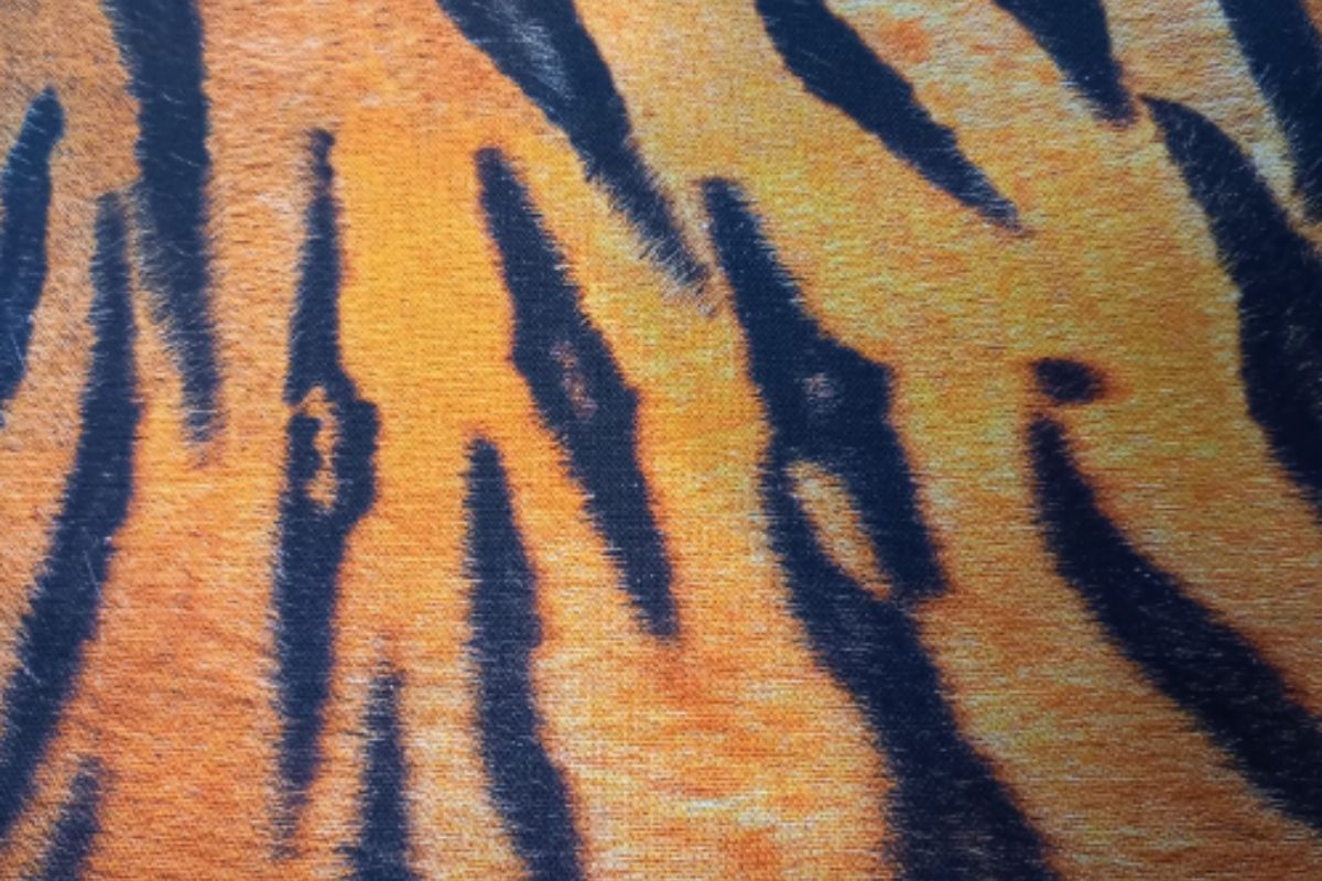 Panamá Digital Tigre