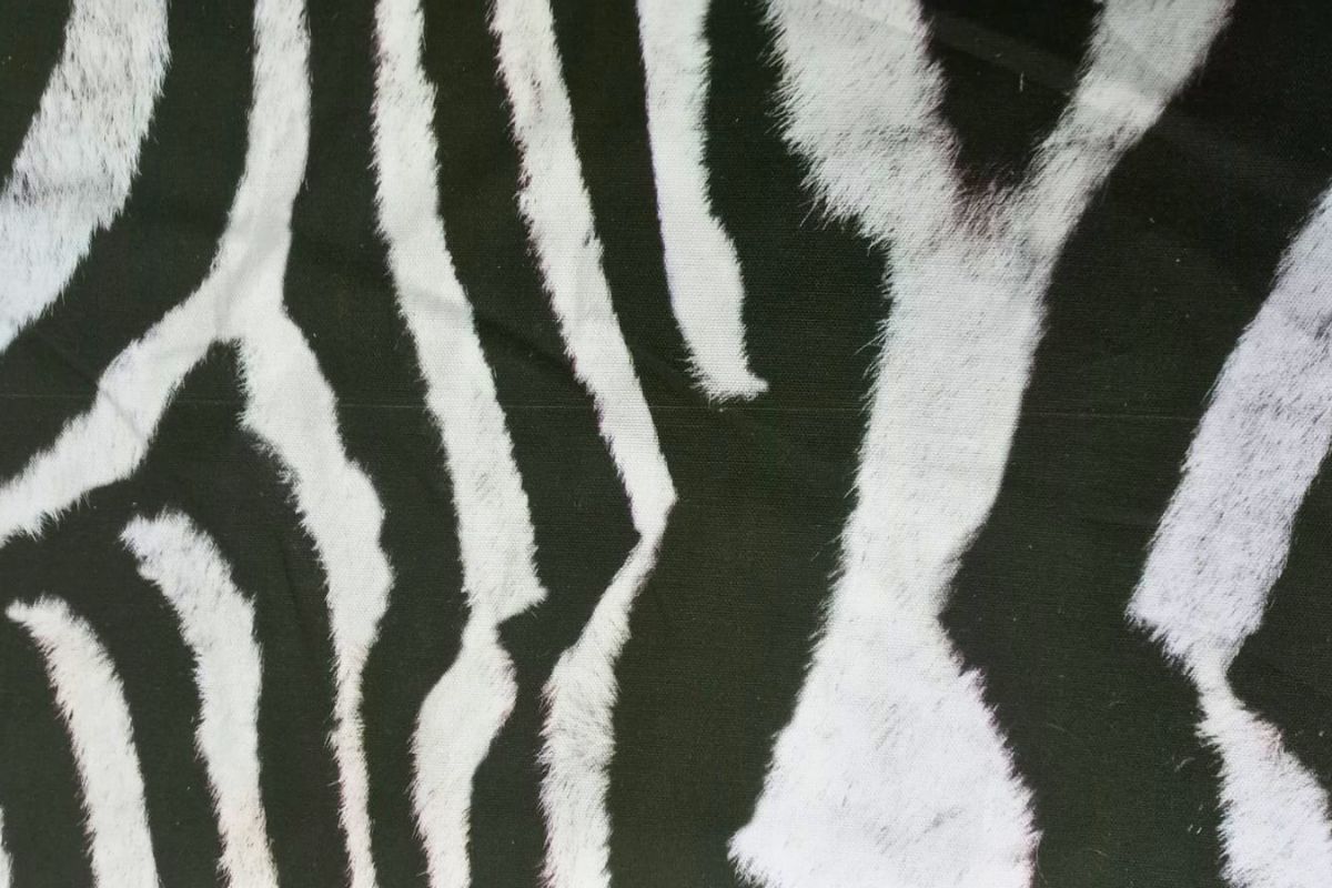 Panamá Digital Piel Cebra