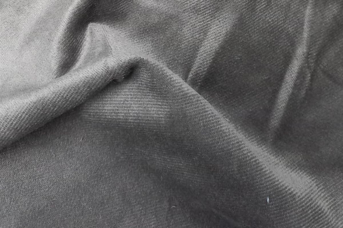 Pana Buenos Aires Visón