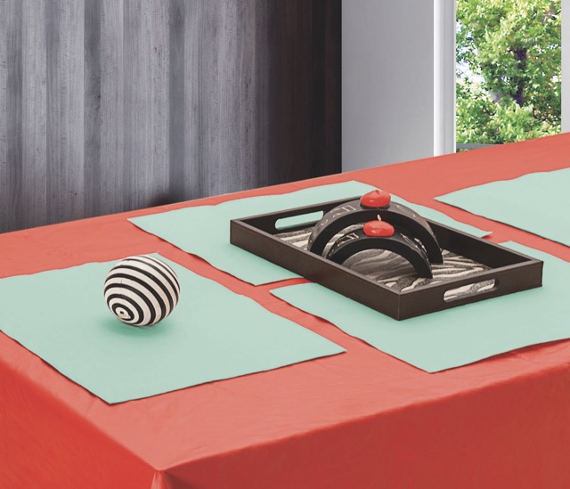 Individual Cuerina Liso