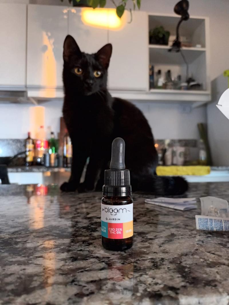 Gato (10 ml) -ANSIEDAD