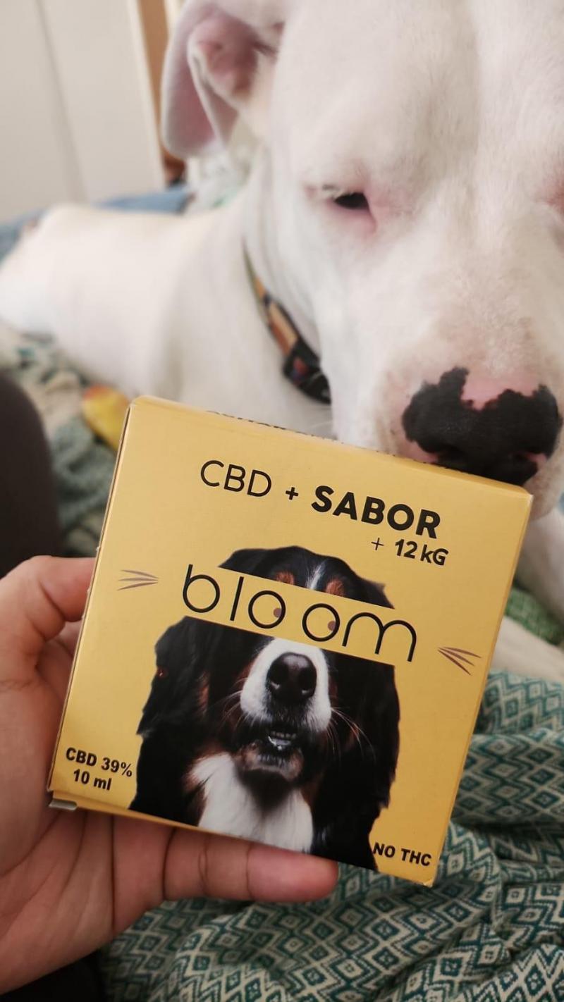 Perro Grande (+12 KG) - ESTRÉS - 10ml