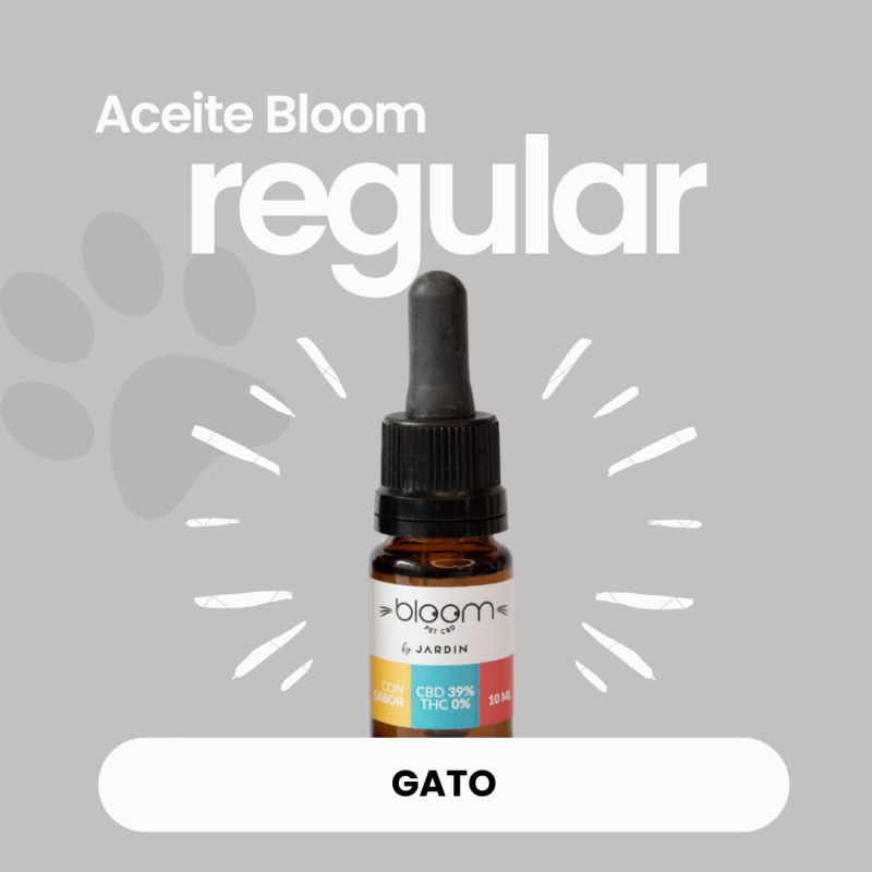 Gato  (10ml) - REGULAR