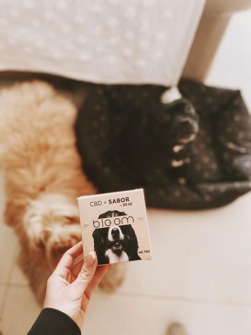 Perro Chico (-12KG) - ESTRÉS- 10ml