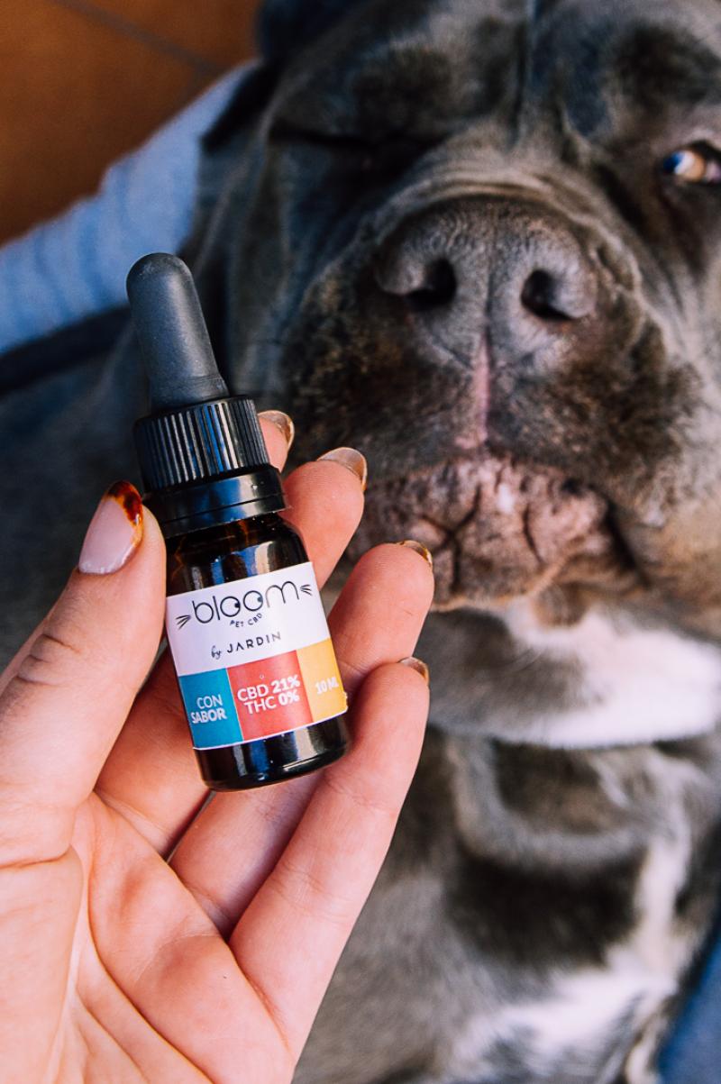 Perro Grande (+12 KG) - ANSIEDAD - 10ml