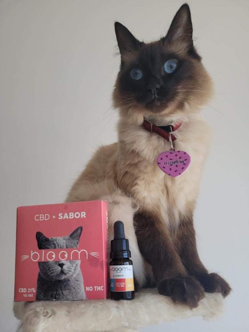 Gatos (10ml) - ESTRÉS