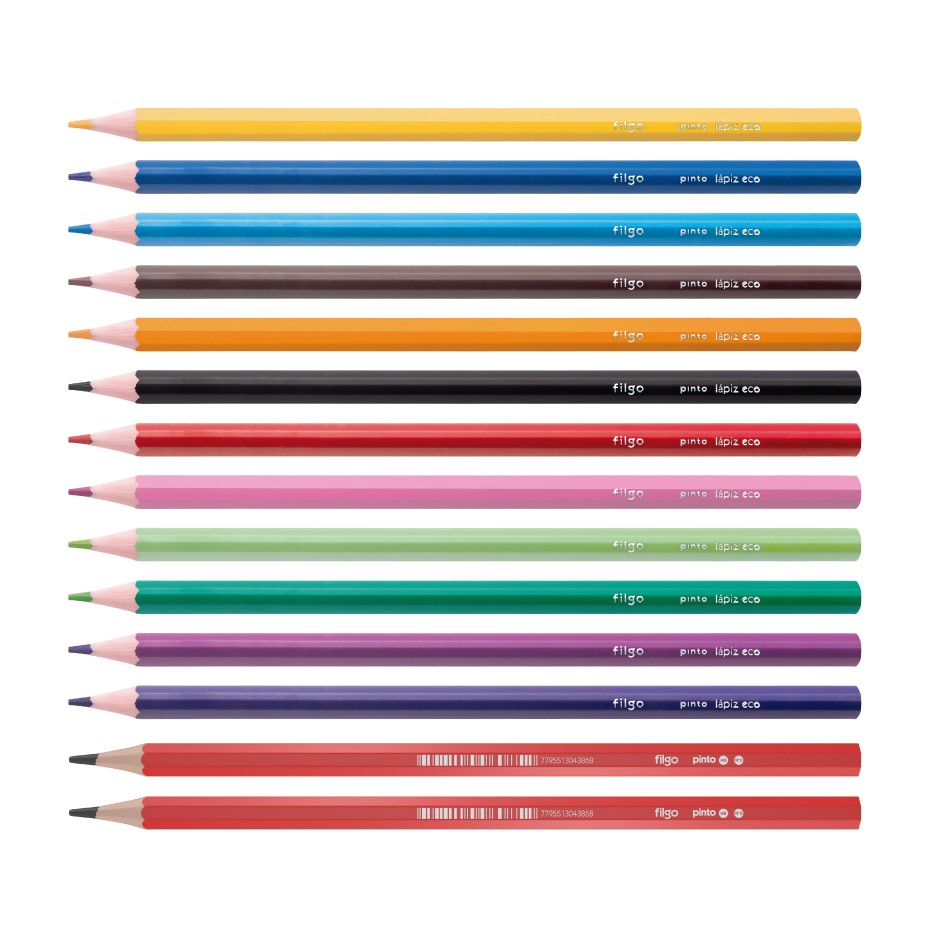 LAPIZ COLOR X12 LARGO FILGO PINTO +2 HB