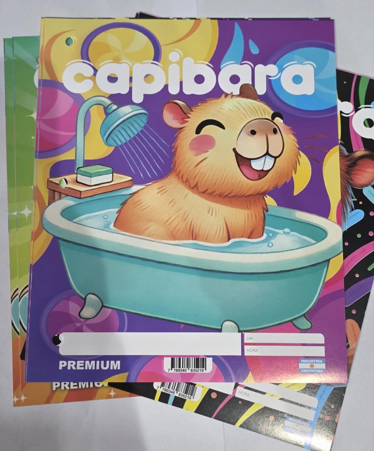 SEPARADORES X6 PREMIUM